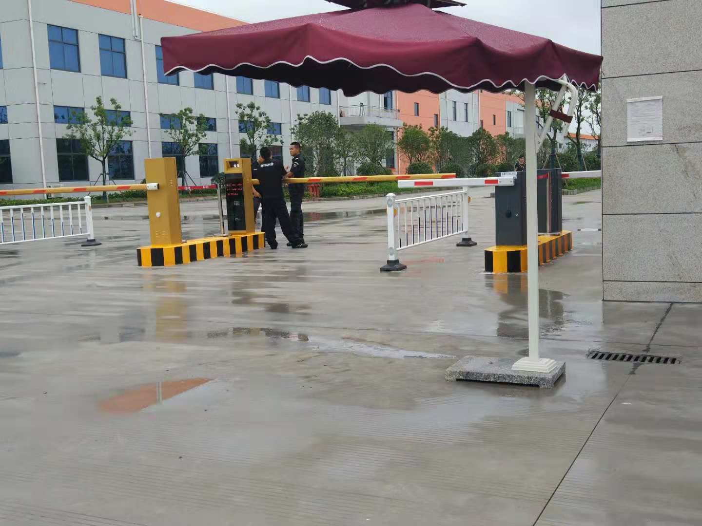 东台领胜